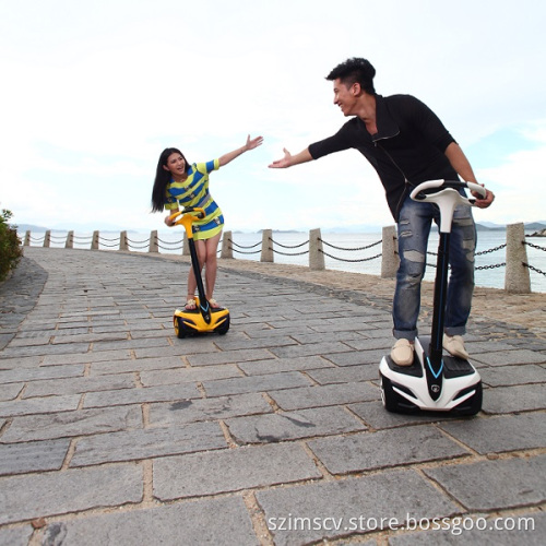 Electric Scooter Personal Transporter